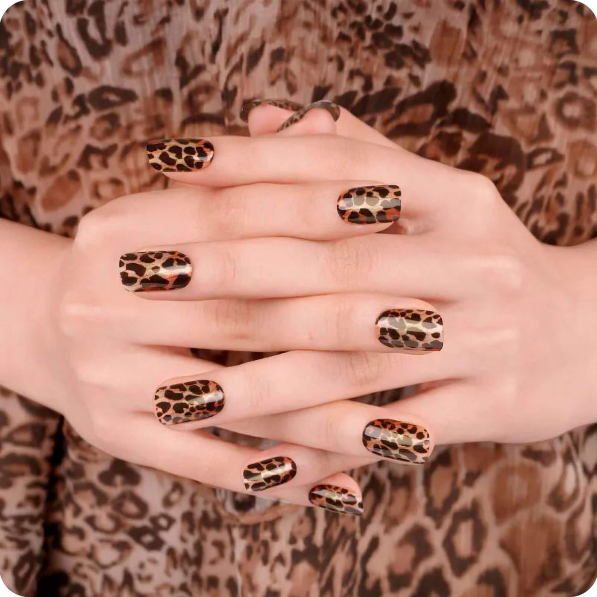 Leopard - Lumyvita
