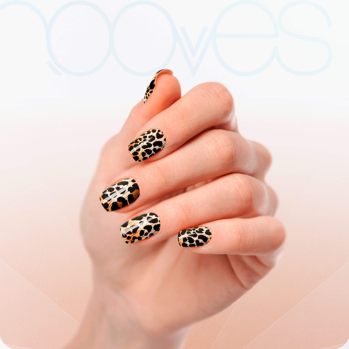 Leopard - Lumyvita