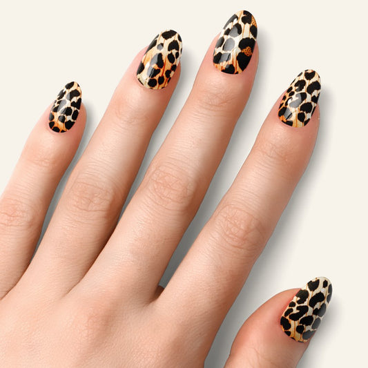Leopard - Lumyvita